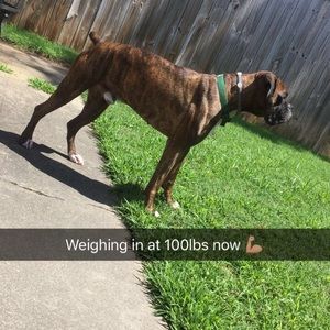 Meet your Posher, Terrance